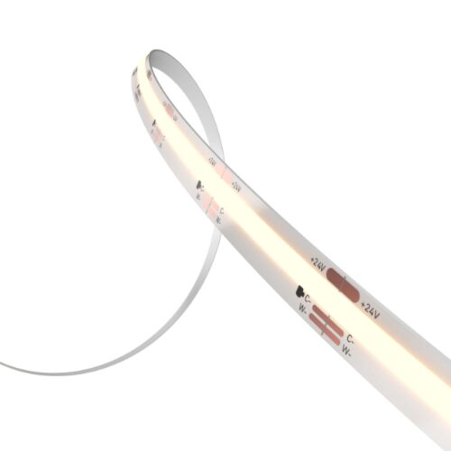 dals-lighting_cobtp24v-r100ft-cc_1