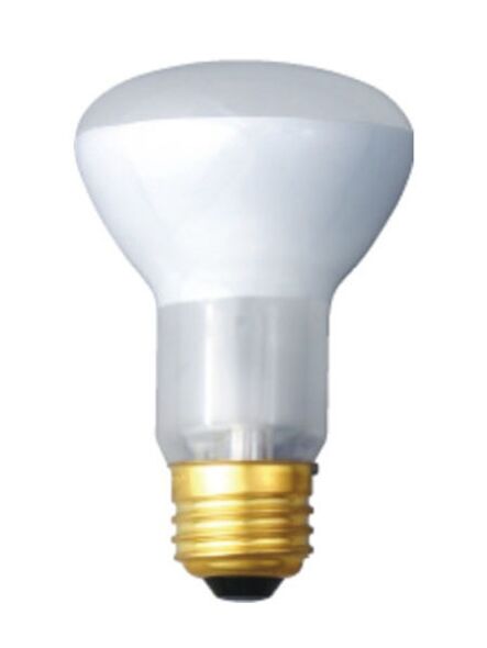 eiko_45r20-fl-120v