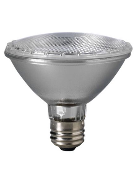 eiko_60par30-h-fl-120v