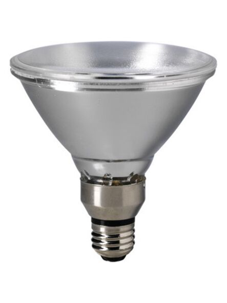 eiko_60par38-h-wfl-120v