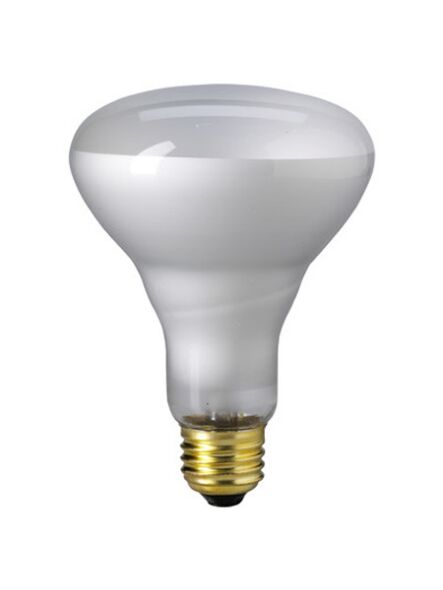 eiko_65br30-fl-120v