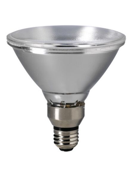 eiko_70par38-h-wfl-120v
