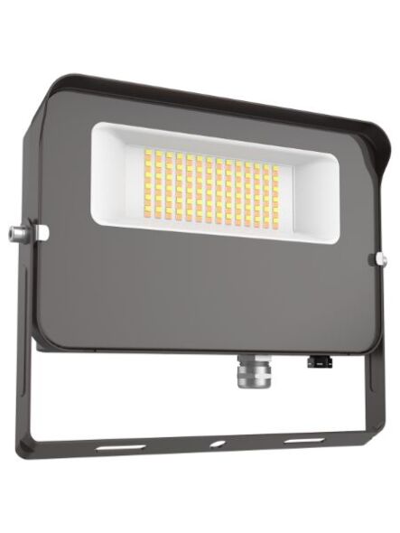 eiko_fl3-100w-750-ud-y-pc