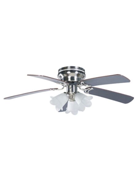 elite_ech-f1-1064-42-5