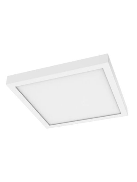 elite_rl1195-cct