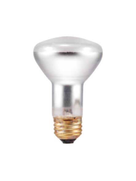 ledvance_45r20-dl-rp-120v_1