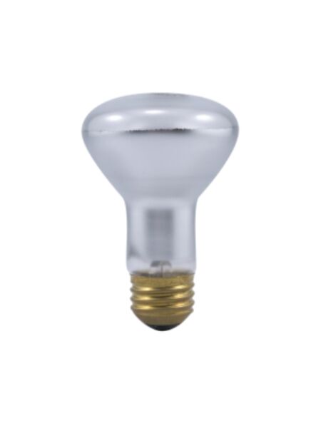 ledvance_45r20-rp-2-12-120v_1