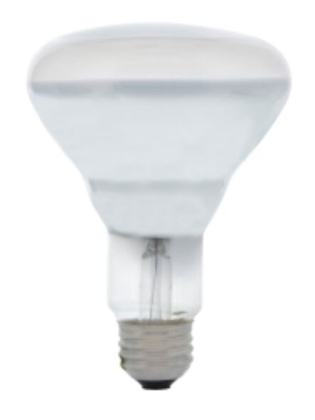 ledvance_65br30-fl-130v