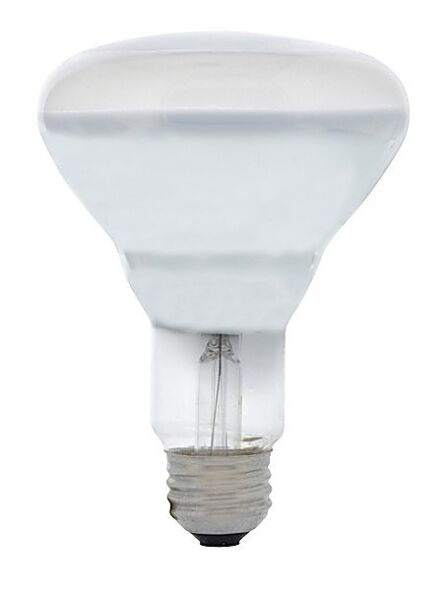 ledvance_65br30fl324120v