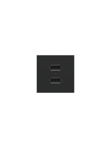 legrand_arusb2aa6g4_2