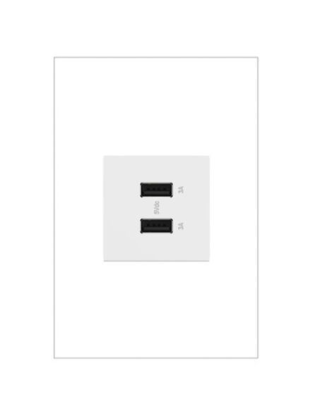 legrand_arusb2aa6w4