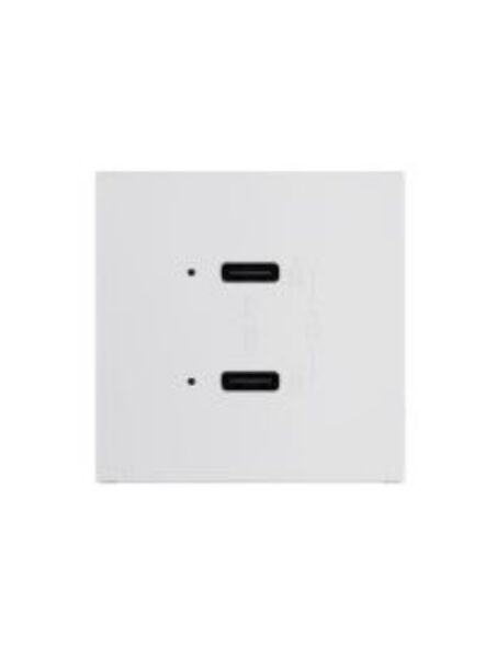 legrand_arusb65pdw4_1