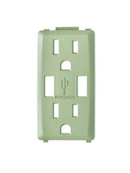 leviton_rkaa1-ps