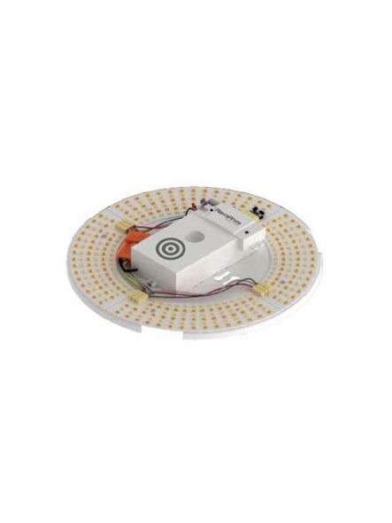 light-efficient-design_rpt-p-ledcr-g2-9in-14l-840-fwfc
