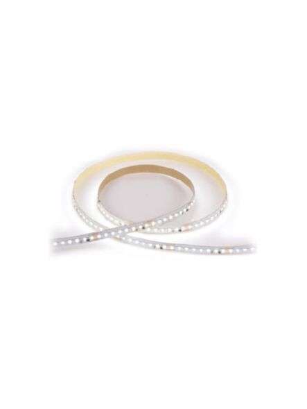 lotus-led_lbl-2216-126p-24v-10-40k