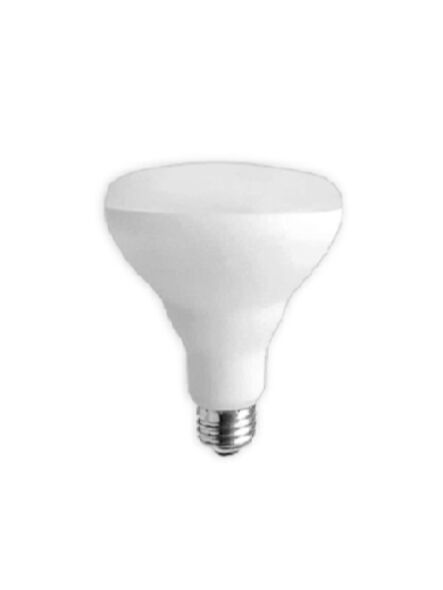 lumifaro_ledbr30-10w-40k_1