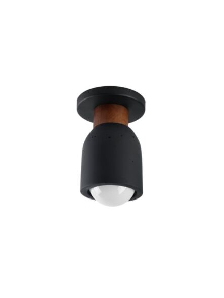 maxim-lighting_10629lvbk