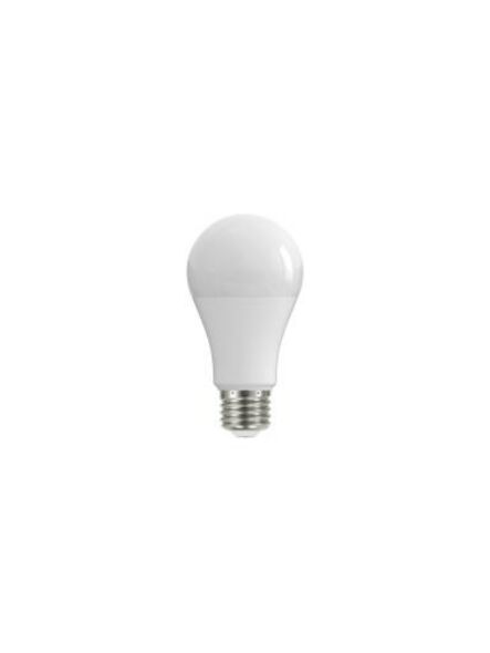 maxlite_ee12a19d950-t20_1