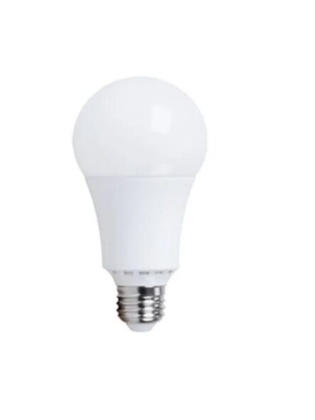 naturaled_led10a19-80l-927