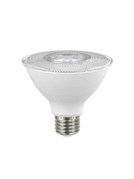 naturaled_led10par30-80l-fl-950