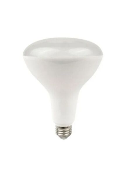naturaled_led12br30-90l-940