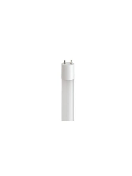 Tube LED T8 instant fit 4' Naturaled LED13T8-FR16-840-IF 13W
