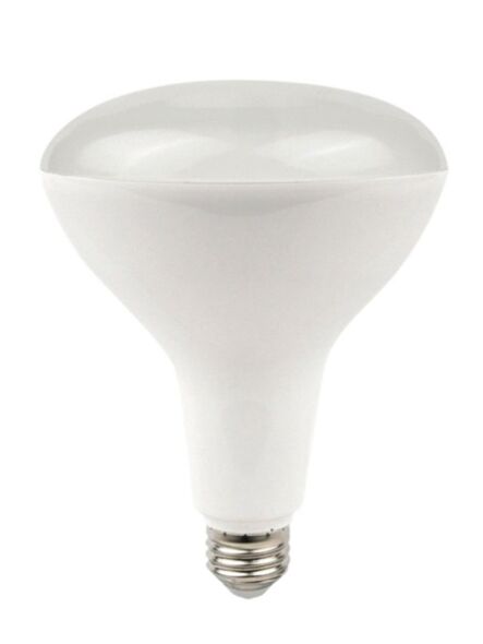 naturaled_led9br30-81l-927_1