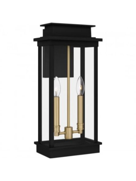 quoizel-lighting_noe8409mbk