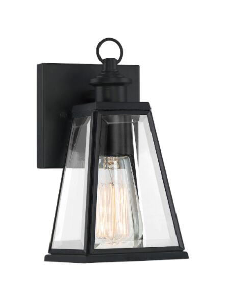 quoizel_pax8305mbk