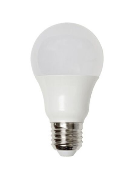 renwill_lb032-3