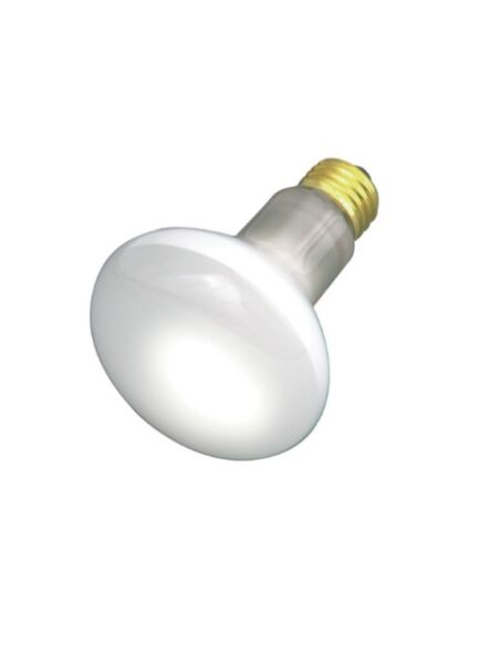 satco_s2810