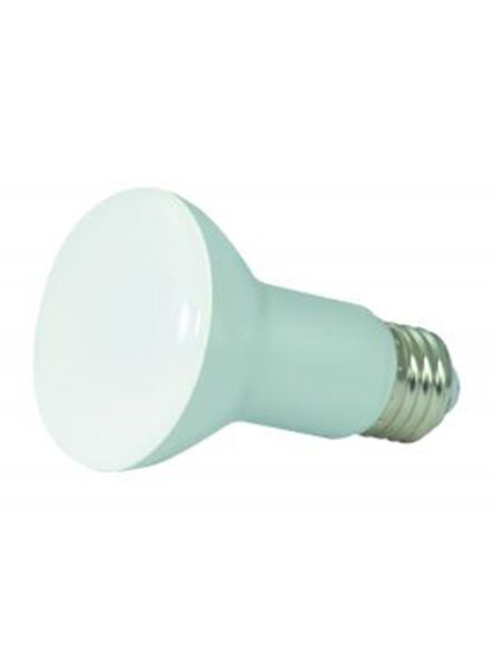 satco_s28491