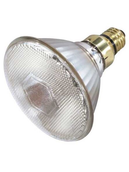 satco_s4889