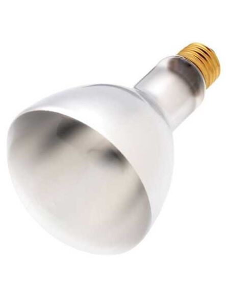 satco_s4956