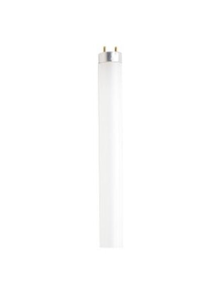 satco_s6545