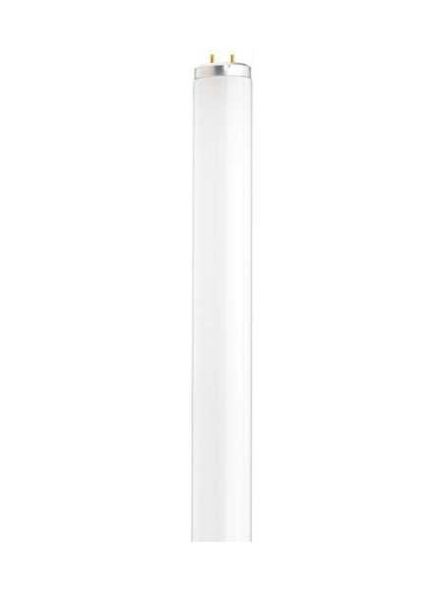satco_s6608