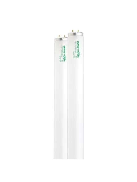 satco_s6649