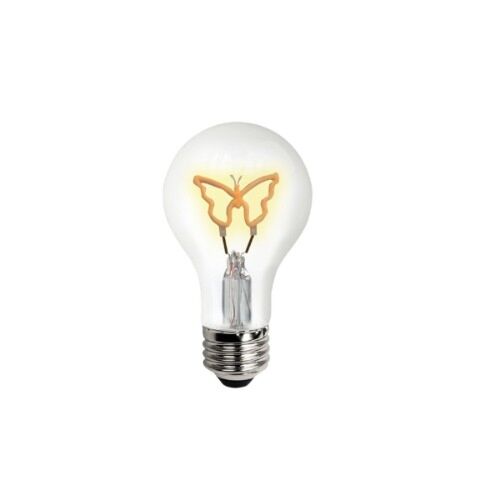 tcp_fa19butterflybd
