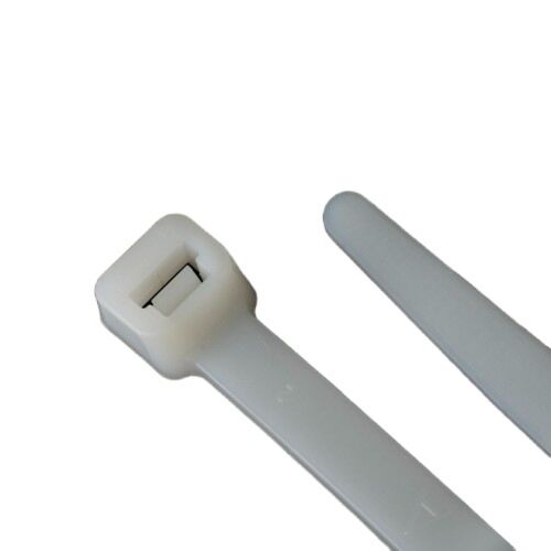techspan_e181209l_1