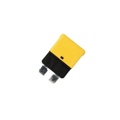 techspan_tech-766224_1