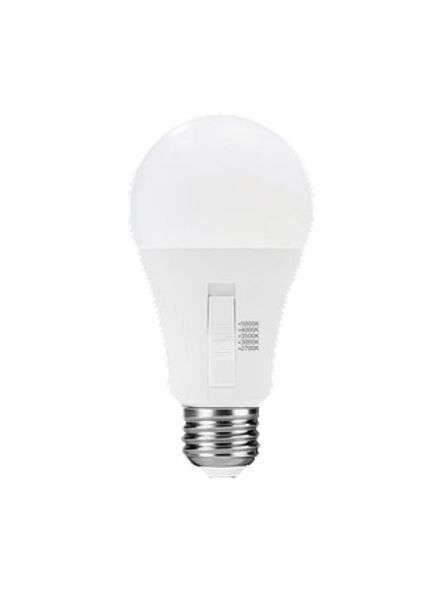 turolight_hd-a19-i90-11w-5cct-d