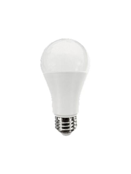 turolight_pv-a19-s2-15w-40