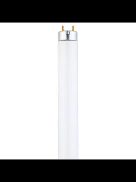 westinghouse_3601500