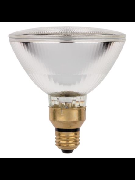 westinghouse_3683900