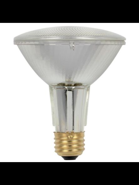 westinghouse_3685400
