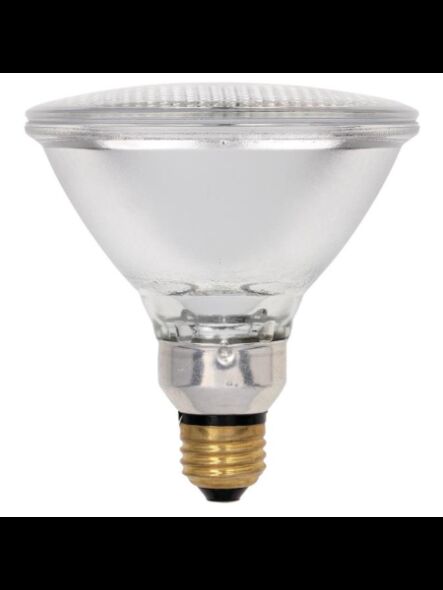 westinghouse_3685900
