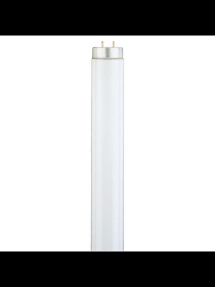 westinghouse_wh-0591400