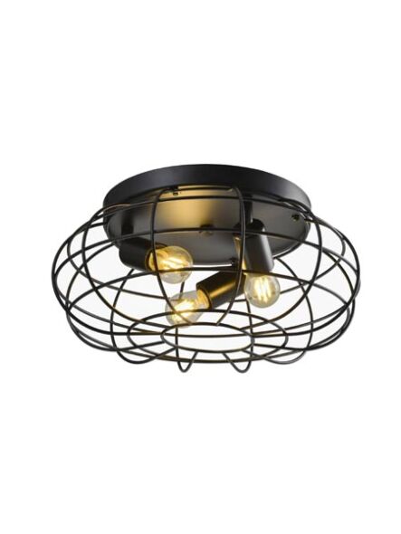 young-lighting_1348fm3