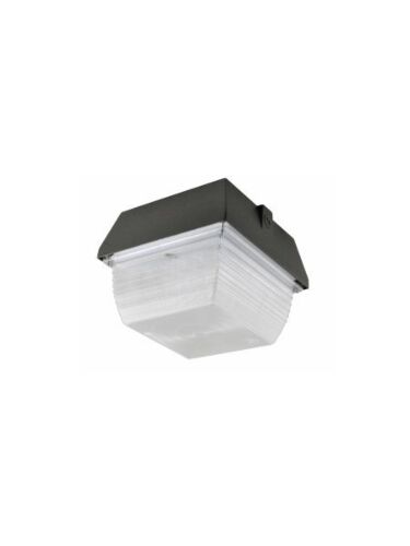 1naturaled_led-fxpg60-40k-db