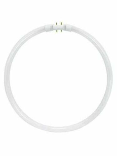 T5 Circline Fluorescent 2GX13 4-Pin 3500K